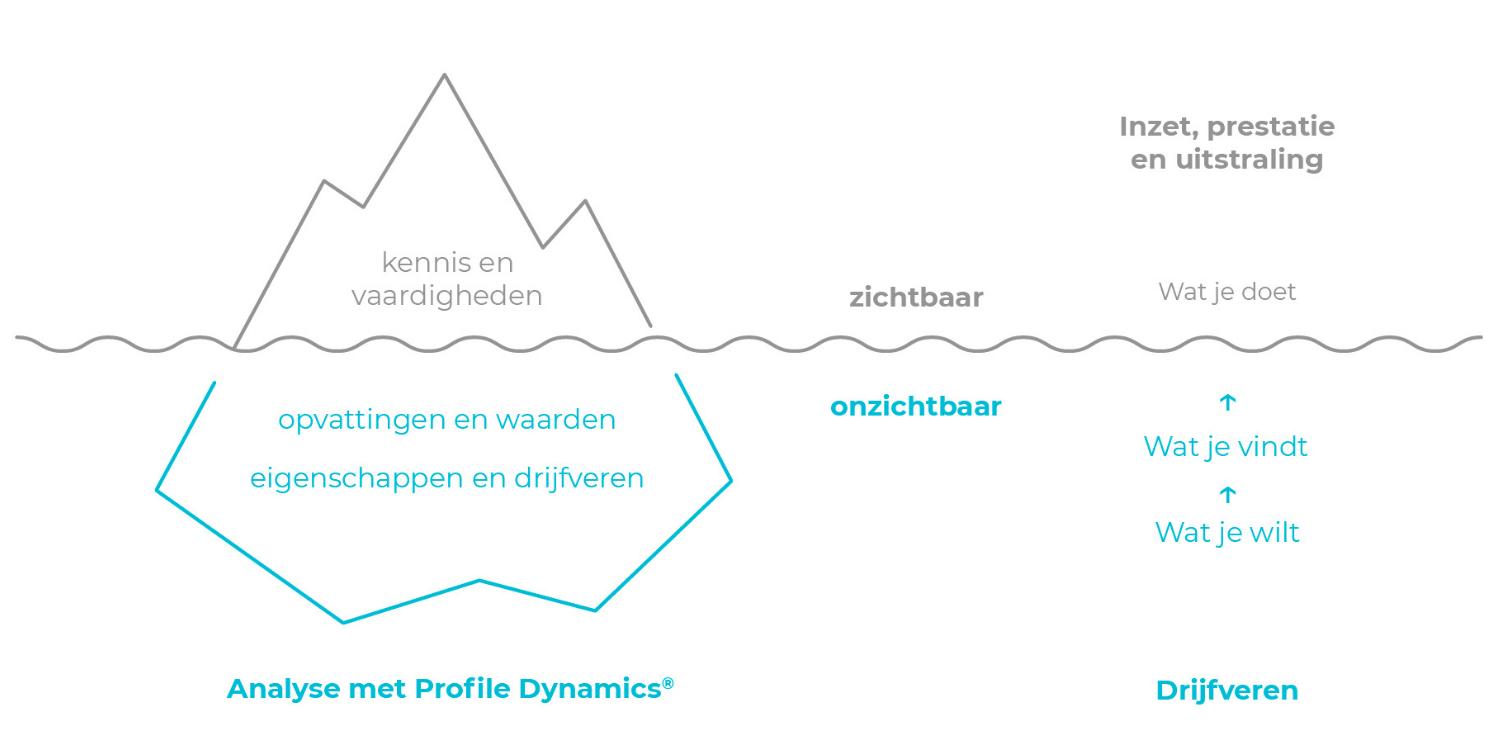 IJsberg+Profile+Dynamics+drijfveren